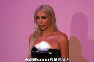和美国顶级名媛生活一天需要多少钱？亨弗里斯用惨痛经历告诉大家
